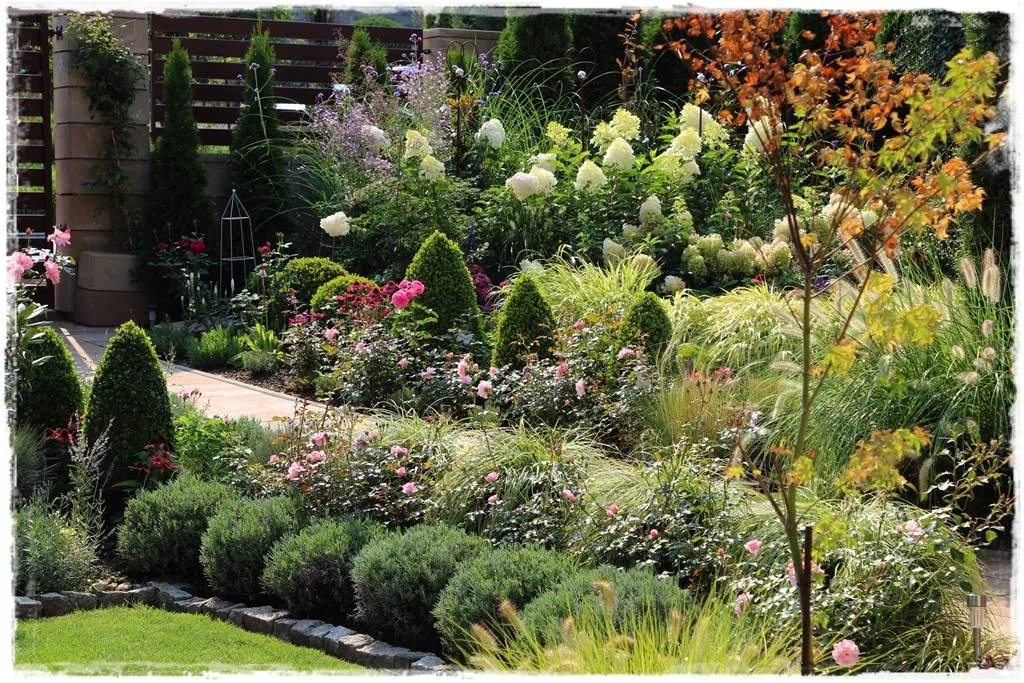 Czym obsadzić chodnik? Najlepsze rośliny, które zachwycą w ogrodzie